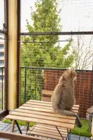 Budapest, XII. kerület - Németvölgy